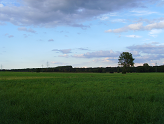 Bildvorschau sky7_01.png